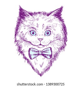 Hand drawn portrait of kitten with bow tie. Sketch of cat hipster. Cat with blue eyes.