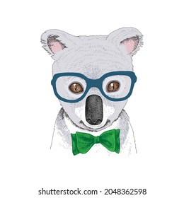 Hand drawn portrait of Koala baby with accessories