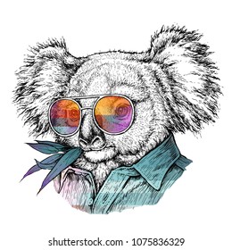 Hand drawn portrait of Koala bear in glasses. Vector illustration isolated on white