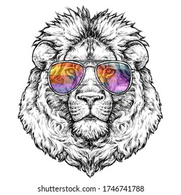 Hand drawn portrait of lion in glasses. Vector illustration isolated on white