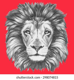 Hand drawn portrait of Lion. Vector