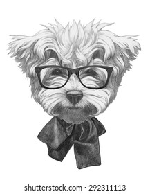 Hand drawn portrait of Maltese Poodle with glasses and bow. Vector isolated elements.