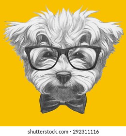 Hand drawn portrait of Maltese Poodle with glasses and bow tie. Vector isolated elements.