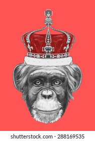 Hand Drawn Portrait Of Monkey With Crown. Vector Isolated Elements.