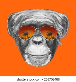 Hand drawn portrait of Monkey with mirror sunglasses. Vector isolated elements.