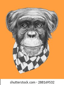 Hand drawn portrait of Monkey with scarf. Vector isolated elements.