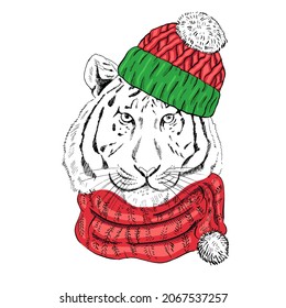 Hand - drawn portrait of a New Year tiger in a scarf and a knitted hat. Vector illustration. Vintage line sketch. Christmas illustration.
