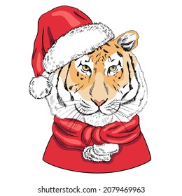 Retrato hecho a mano de un tigre de Año Nuevo con una bufanda, un sombrero de Papá Noel y un abrigo rojo. Ilustración vectorial. Esbozo de líneas antiguas. Ilustración navideña. Tigre en ropa.