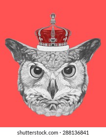 Hand drawn portrait of Owl with crown. Vector isolated elements.
