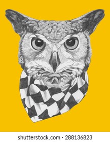 Hand drawn portrait of Owl with scarf. Vector isolated elements.