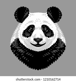 Hand drawn portrait of Panda bear.