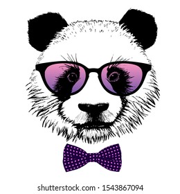 Hand drawn portrait of panda with pink sunglasses and bow tie. Vector isolated illustration
