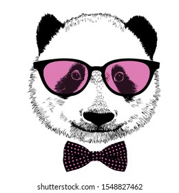 Hand drawn portrait of panda with pink sunglasses and bow tie. Vector isolated illustration on white background