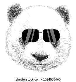 Hand drawn portrait of panda with sunglasses Vector isolated illustration