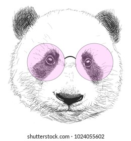 Hand drawn portrait of panda with sunglasses Vector isolated illustration