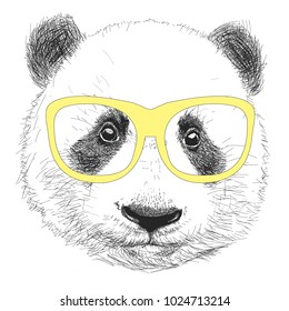 Hand drawn portrait of panda with sunglasses and bow tie. Vector isolated illustration