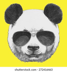 Hand drawn portrait of Panda with sunglasses. Vector isolated elements.