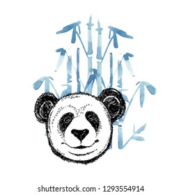 Hand drawn portrait of panda. Vector illustration isolated on white.