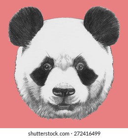 Retrato desenhado à mão de Panda. Vetor.