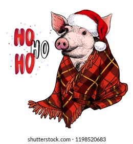 Hand drawn portrait of pig wearing deer horns and blanket. Vector Christmas illustration. Colore piglet. Xmas, New Year symbol. Print for greeting card, party flyer, invitation banner. Winter holiday