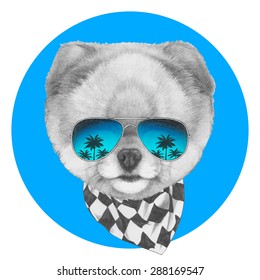 Hand drawn portrait of Pomeranian dog with mirror glasses and scarf. Vector isolated elements.