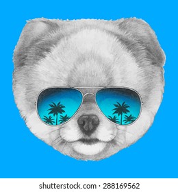 Hand drawn portrait of Pomeranian dog with mirror glasses. Vector isolated elements.