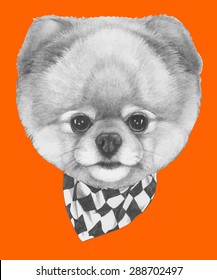 Hand drawn portrait of Pomeranian dog with scarf. Vector isolated elements.