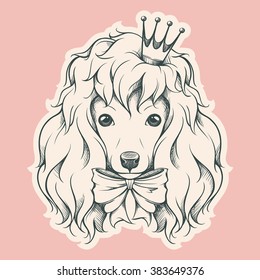 Hand drawn portrait of Poodle with crown and bow. Vector animal dog illustration.