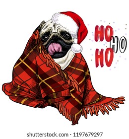 Hand drawn portrait of pug dog wearing santa hat and plaid blanket. Vector Christmas poster. Xmas greeting card. Winter seasonal celebration. Colored new year pet portrait.