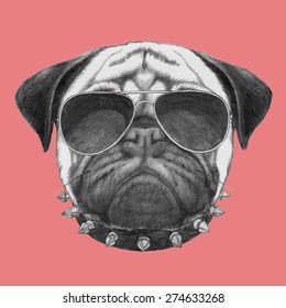 Hand drawn portrait of  Pug Dog with collar and sunglasses. Vector isolated elements.