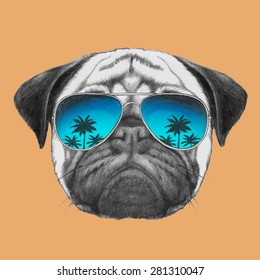Hand drawn portrait of Pug Dog with mirror sunglasses. Vector isolated elements