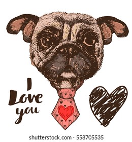 Hand drawn portrait of Pug dog with tie, with quote I love you, vector isolated elements