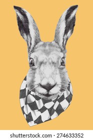 Hand drawn portrait of Rabbit with scarf. Vector isolated elements.