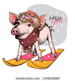 Hand drawn portrait of skiing pig wearing hat, goggles and scarf. Vector Christmas illustration. Colored piglet. Xmas, New Year symbol. Greeting card, party flyer, invitation banner. Winter holiday