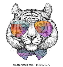 Hand drawn portrait of Tiger in glasses. Vector illustration isolated on white