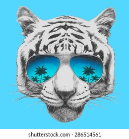 Hand drawn portrait of Tiger with mirror sunglasses. Vector isolated elements