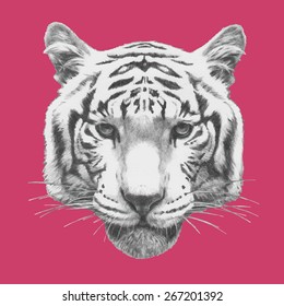 Hand drawn portrait of Tiger. Vector