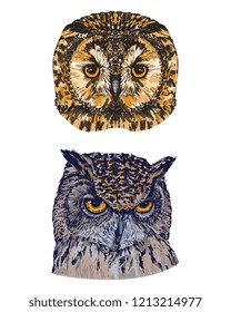 Hand drawn portrait of two owls, isolated on white, vector illustration
