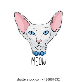 Hand drawn portrait of white oriental cat with blue eyes