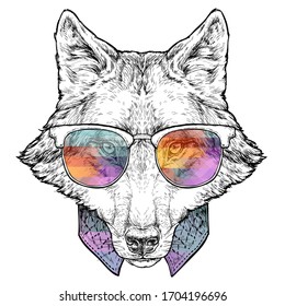 Hand drawn portrait of Wolf in glasses. Vector illustration isolated on white