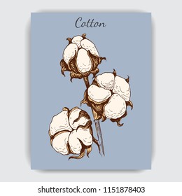 Hand drawn postcard with cotton.