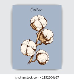 Hand drawn postcard with cotton.