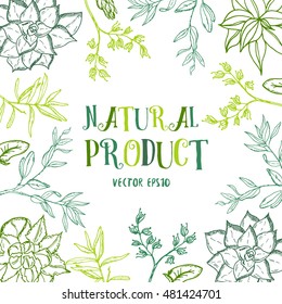 Hand drawn postcard with NATURAL PRODUCT decorated with rosemary plant, succulent plants and dry herbs.Green leaves with herbs for health care. Vector stock Illustration. White background.