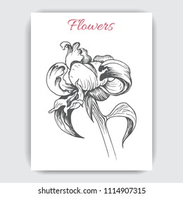 Hand drawn postcard with peonies