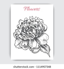 Hand drawn postcard with peonies