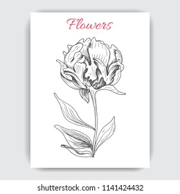 Hand drawn postcard with peonies.