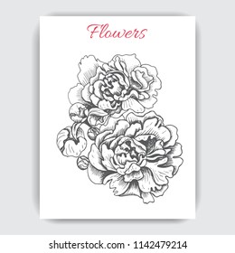 Hand drawn postcard with peonies.