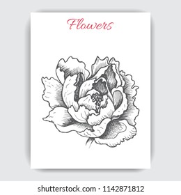 Hand drawn postcard with peonies.