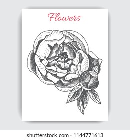 Hand drawn postcard with peonies.