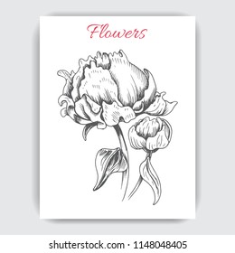 Hand drawn postcard with peonies.